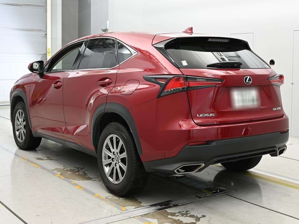 LEXUS NX300