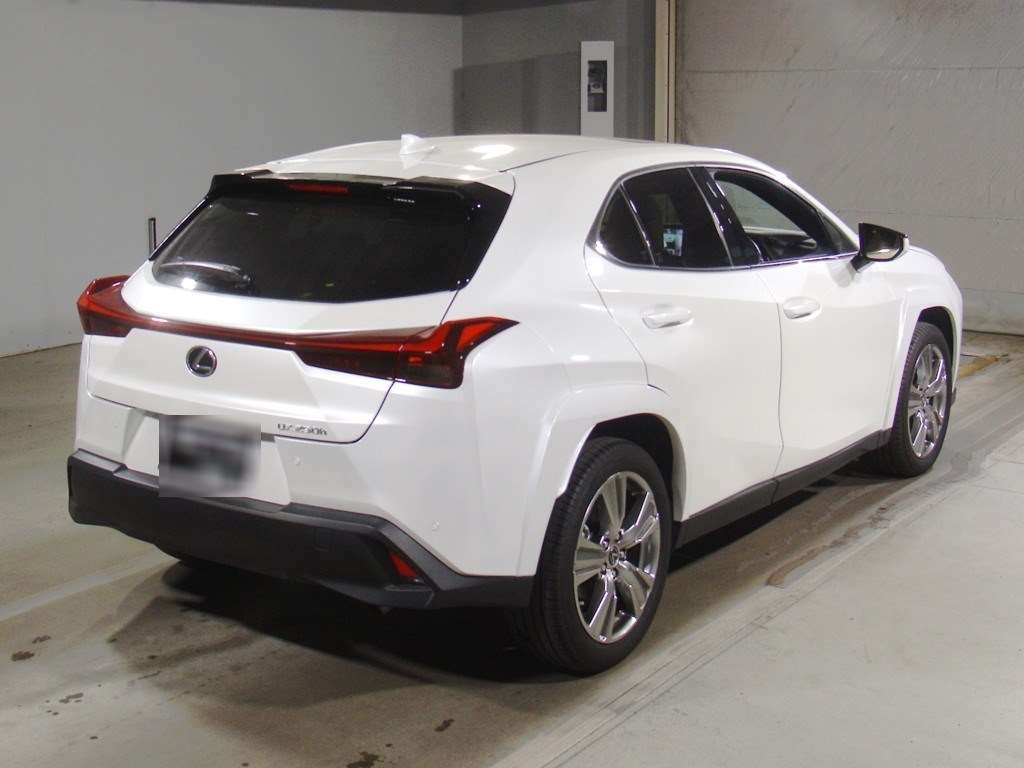 LEXUS UX250H