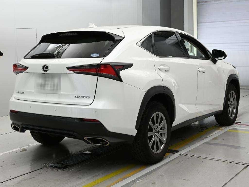 LEXUS NX300