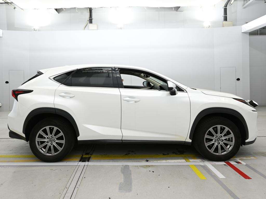 LEXUS NX300
