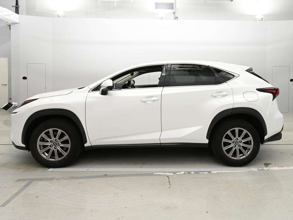LEXUS NX300