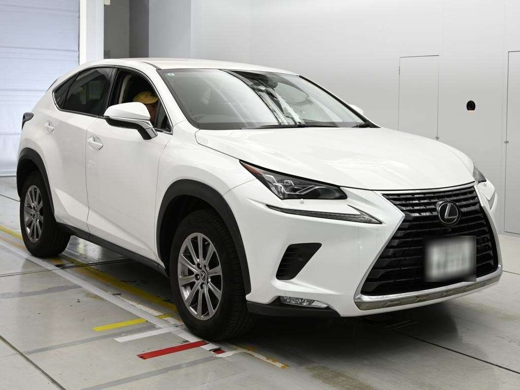 LEXUS NX300