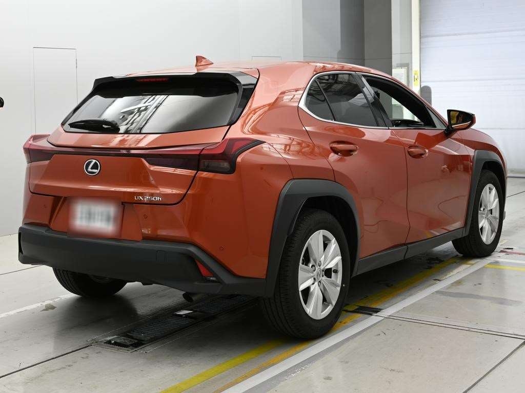 LEXUS UX250H