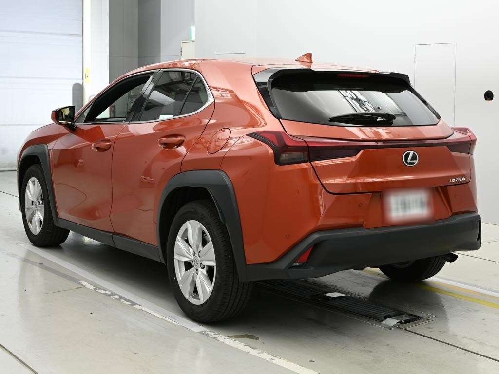 LEXUS UX250H