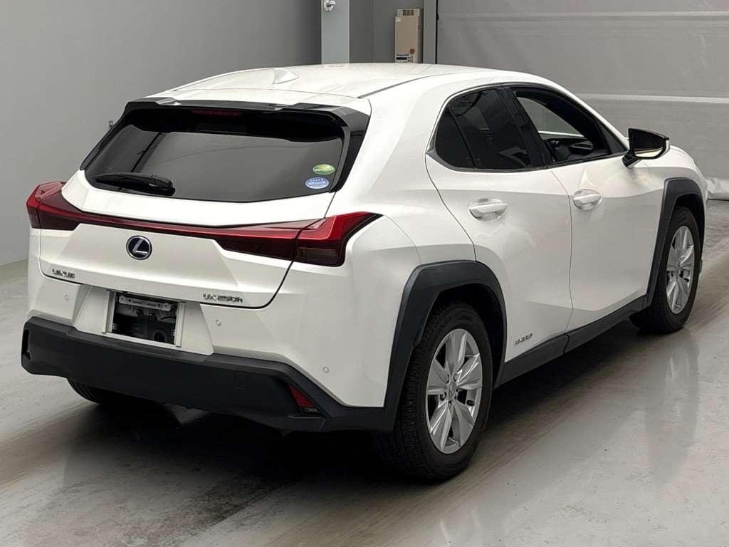 LEXUS UX250H