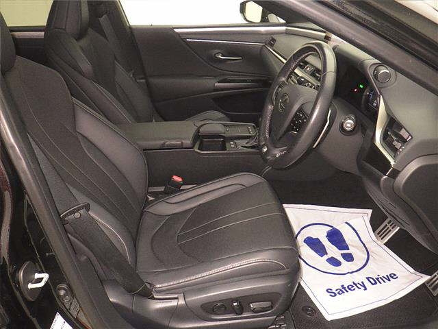 LEXUS ES300H
