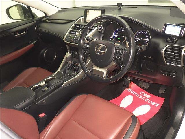 LEXUS NX300H