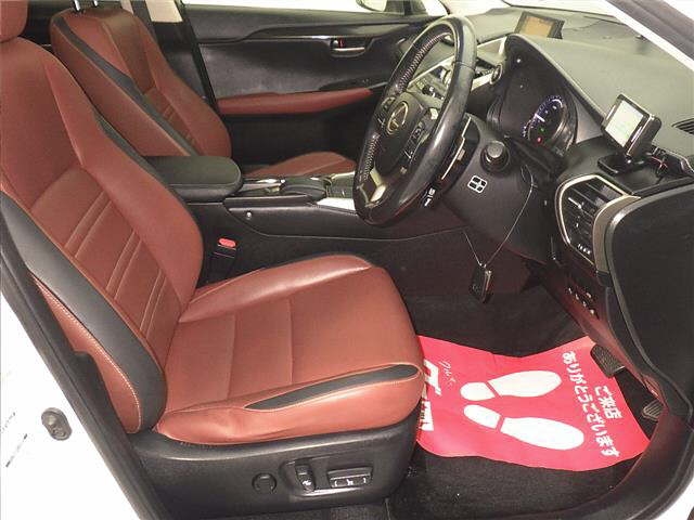 LEXUS NX300H