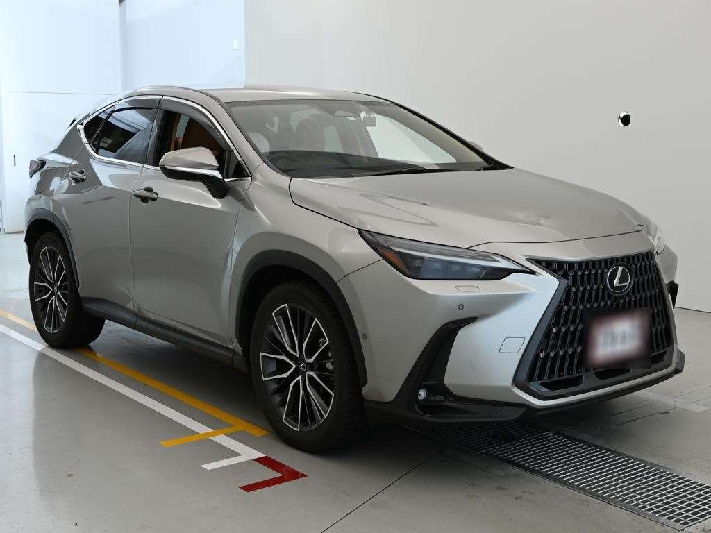 LEXUS NX450H+