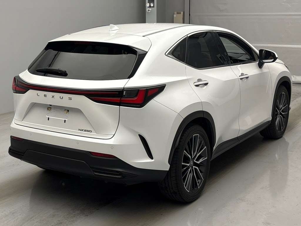 LEXUS NX250