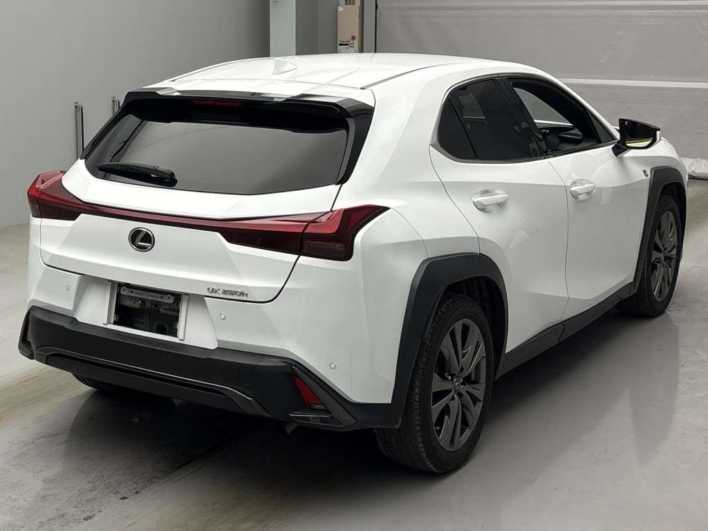 LEXUS UX250H