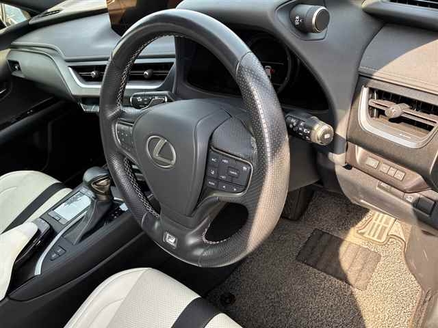 LEXUS UX200