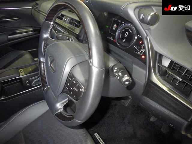 LEXUS ES300H