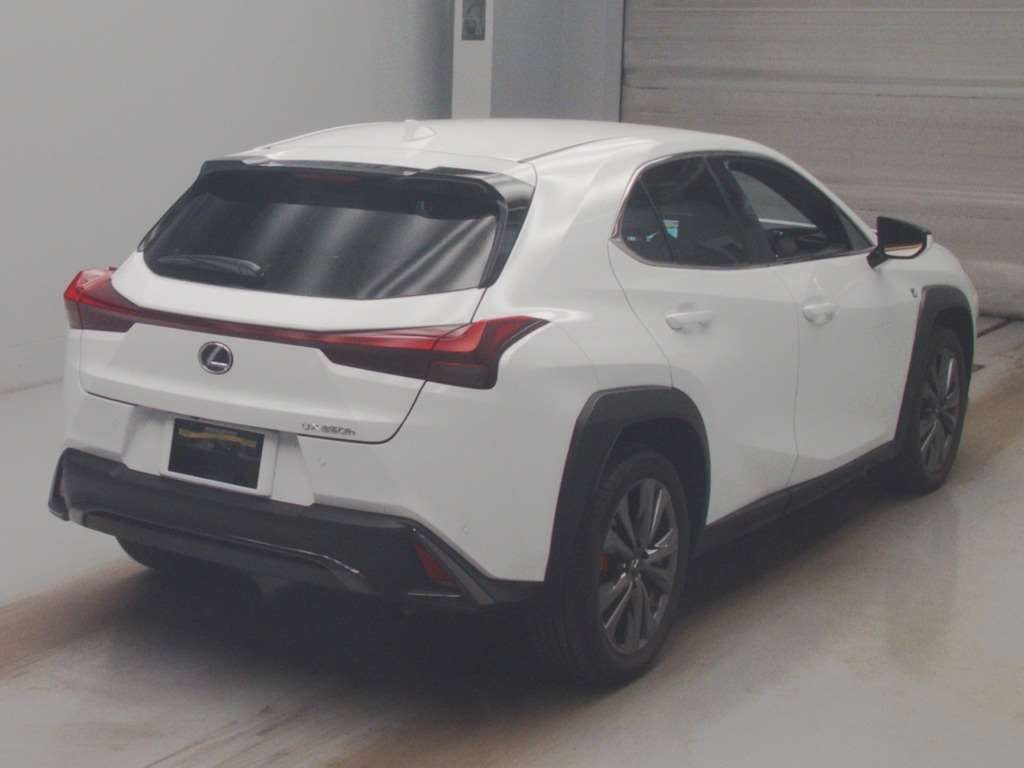 LEXUS UX250H