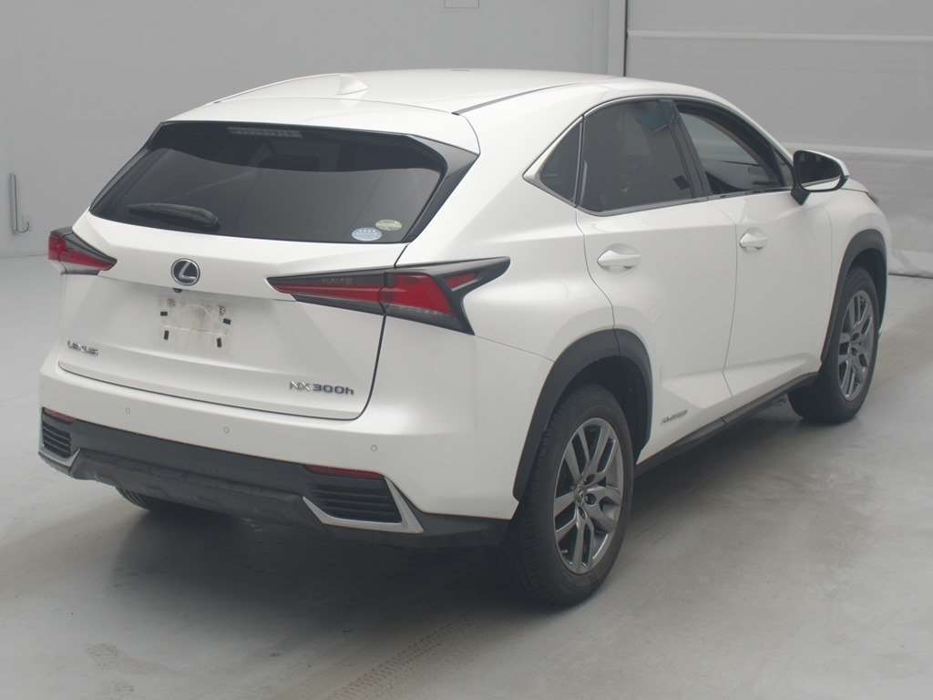 LEXUS NX300