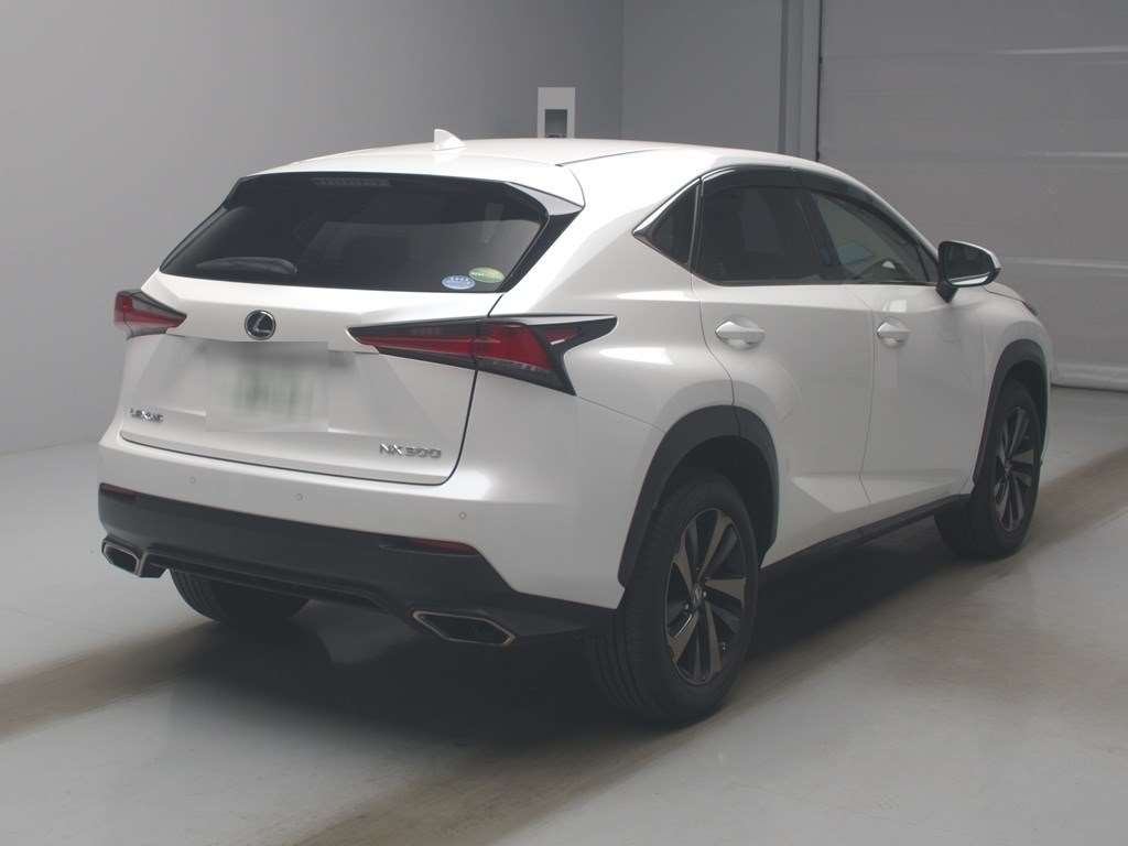 LEXUS NX300