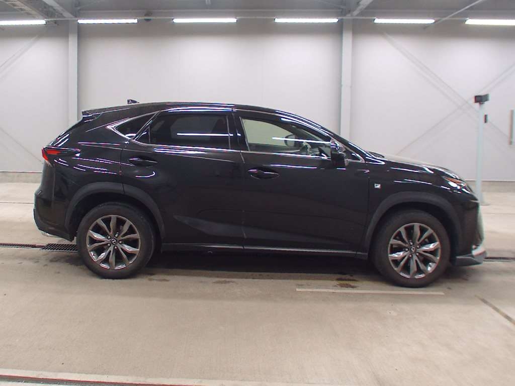LEXUS NX200T