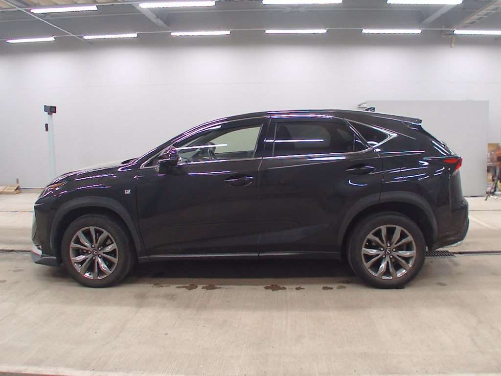LEXUS NX200T
