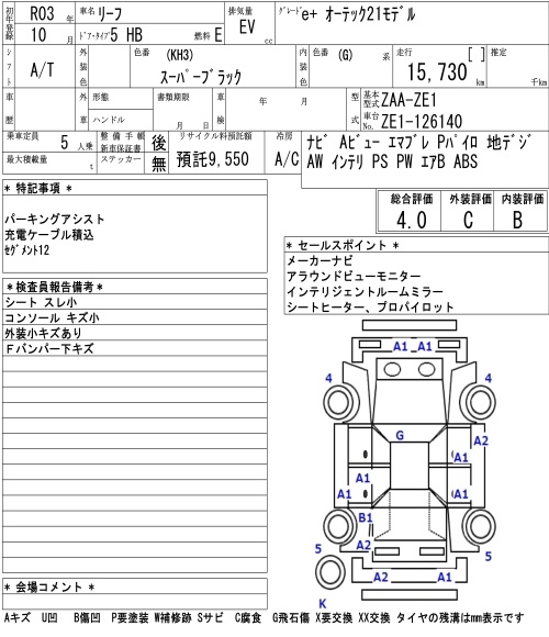 NISSAN LEAF