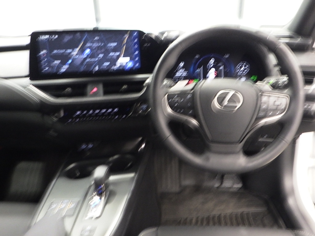LEXUS UX300H