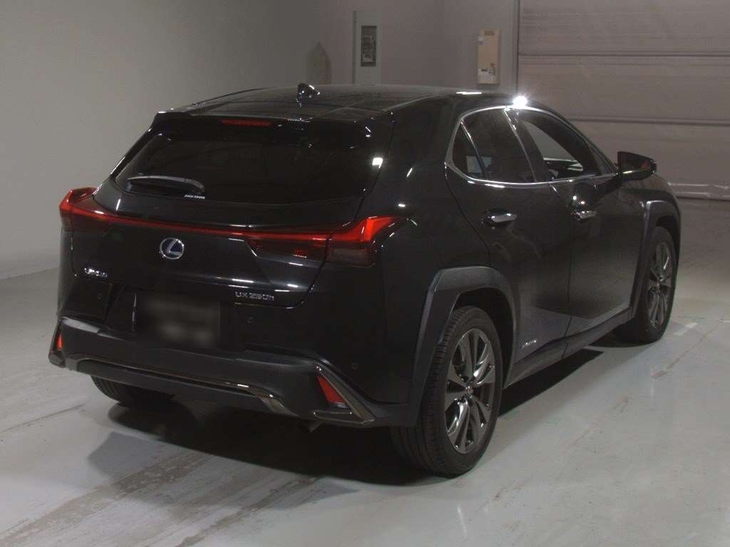 LEXUS UX250H
