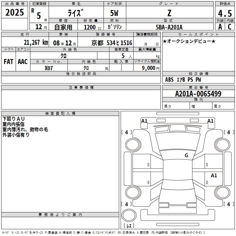 TOYOTA RAIZE
