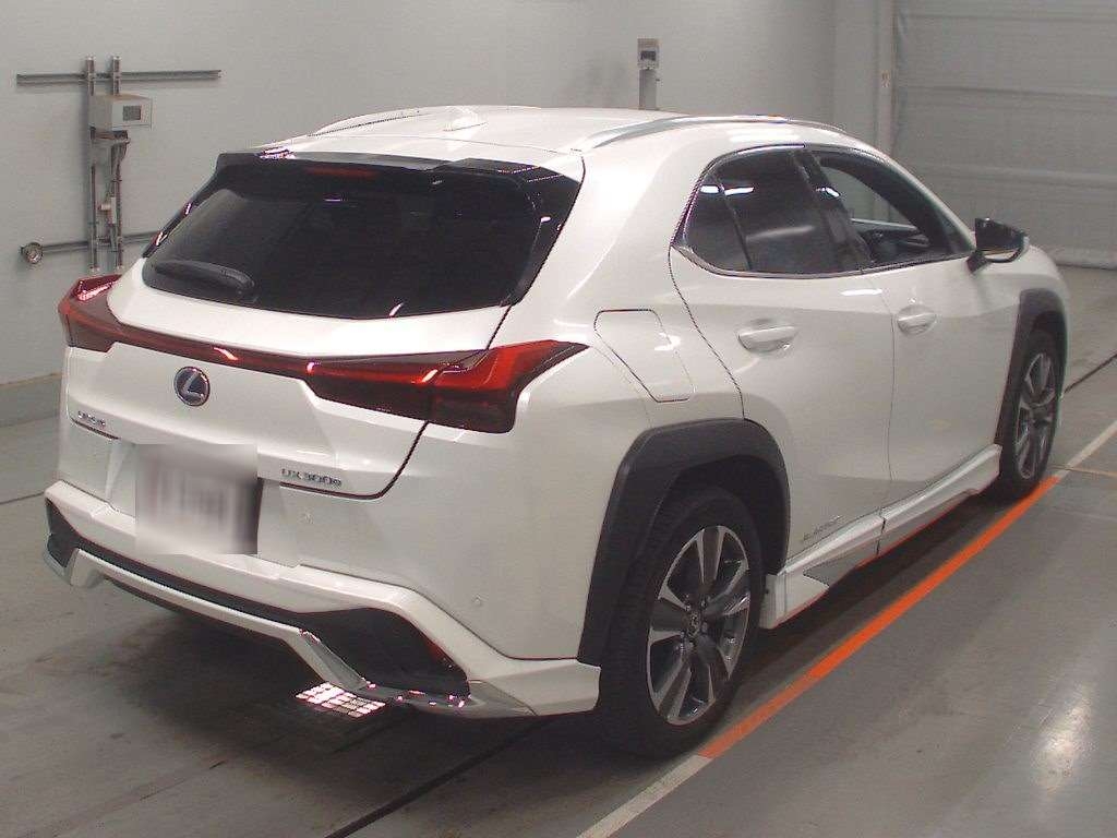 LEXUS UX300E