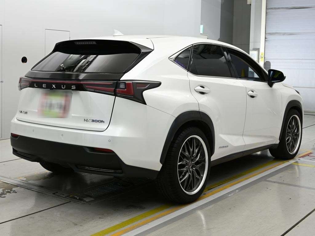 LEXUS NX300