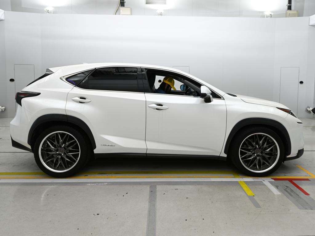LEXUS NX300