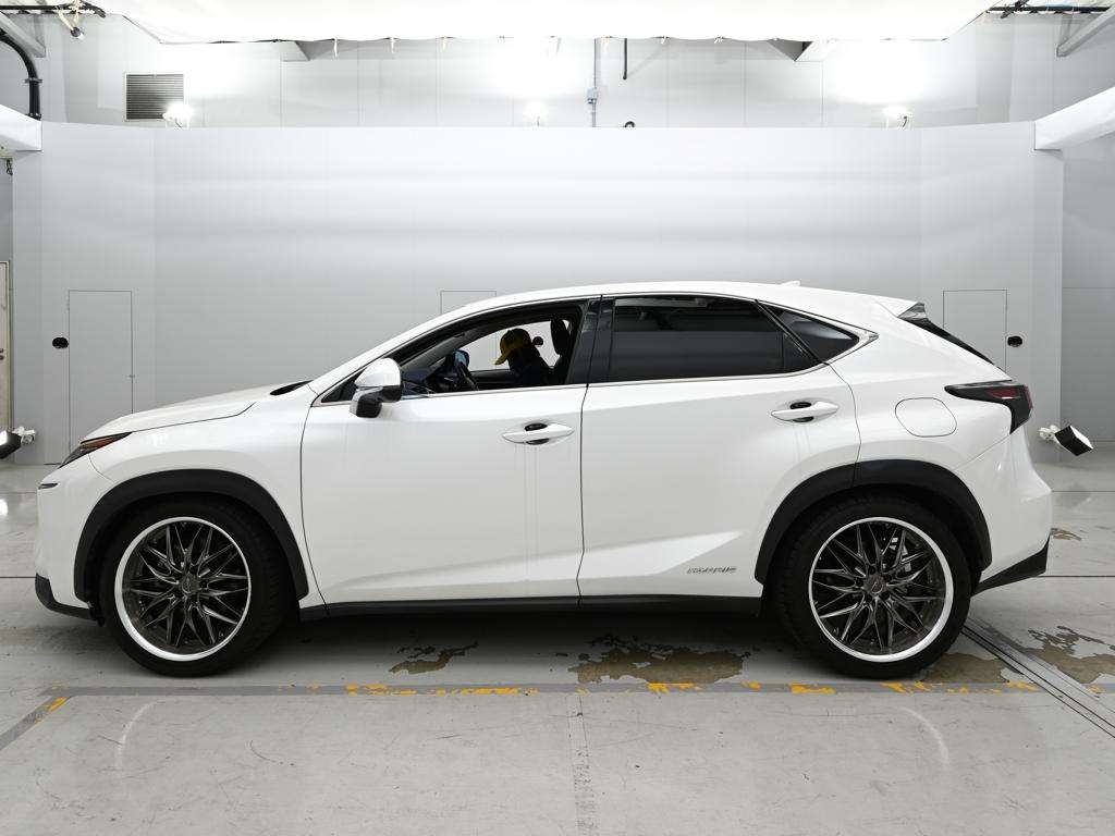 LEXUS NX300