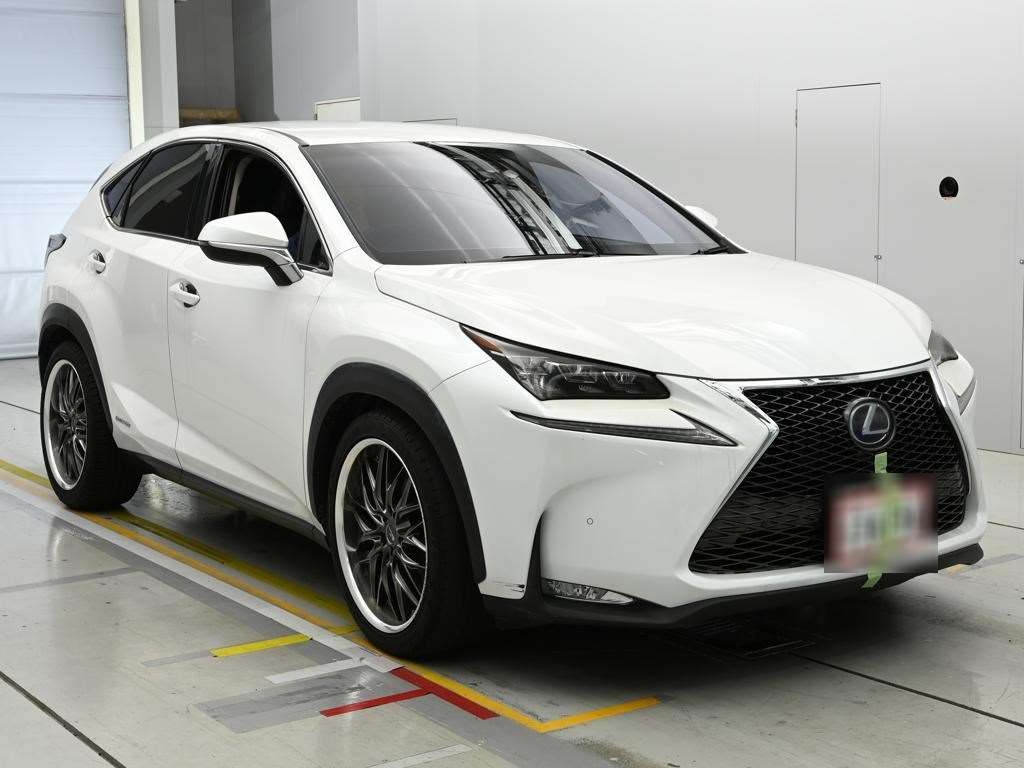 LEXUS NX300