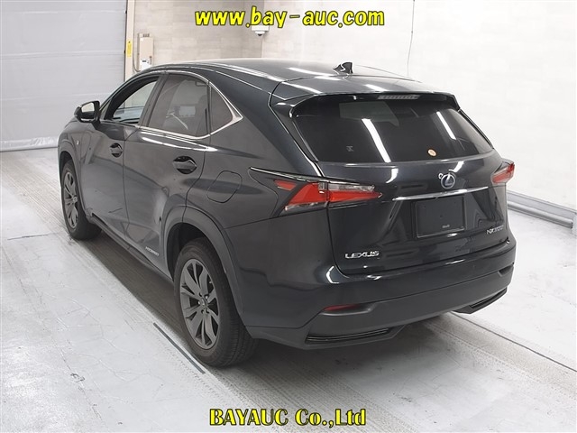 LEXUS NX300H