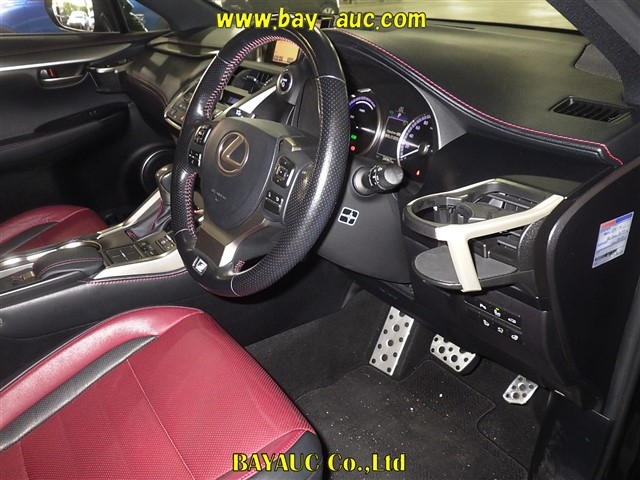 LEXUS NX300H