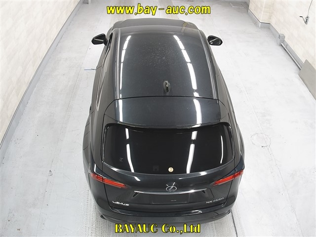 LEXUS NX300H