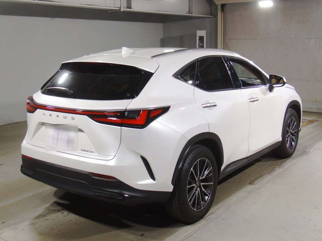 LEXUS NX250