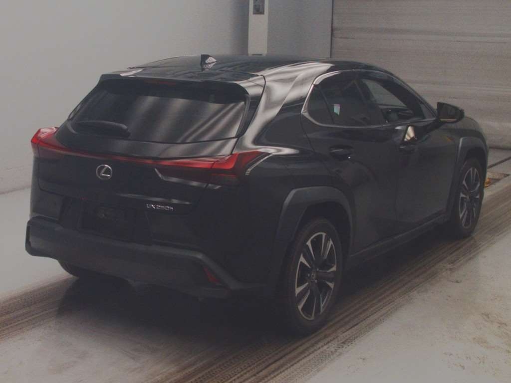 LEXUS UX250H