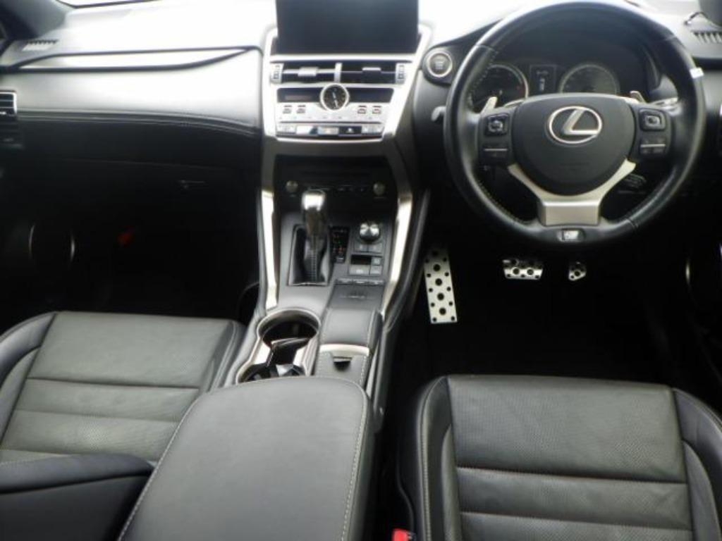 LEXUS NX300