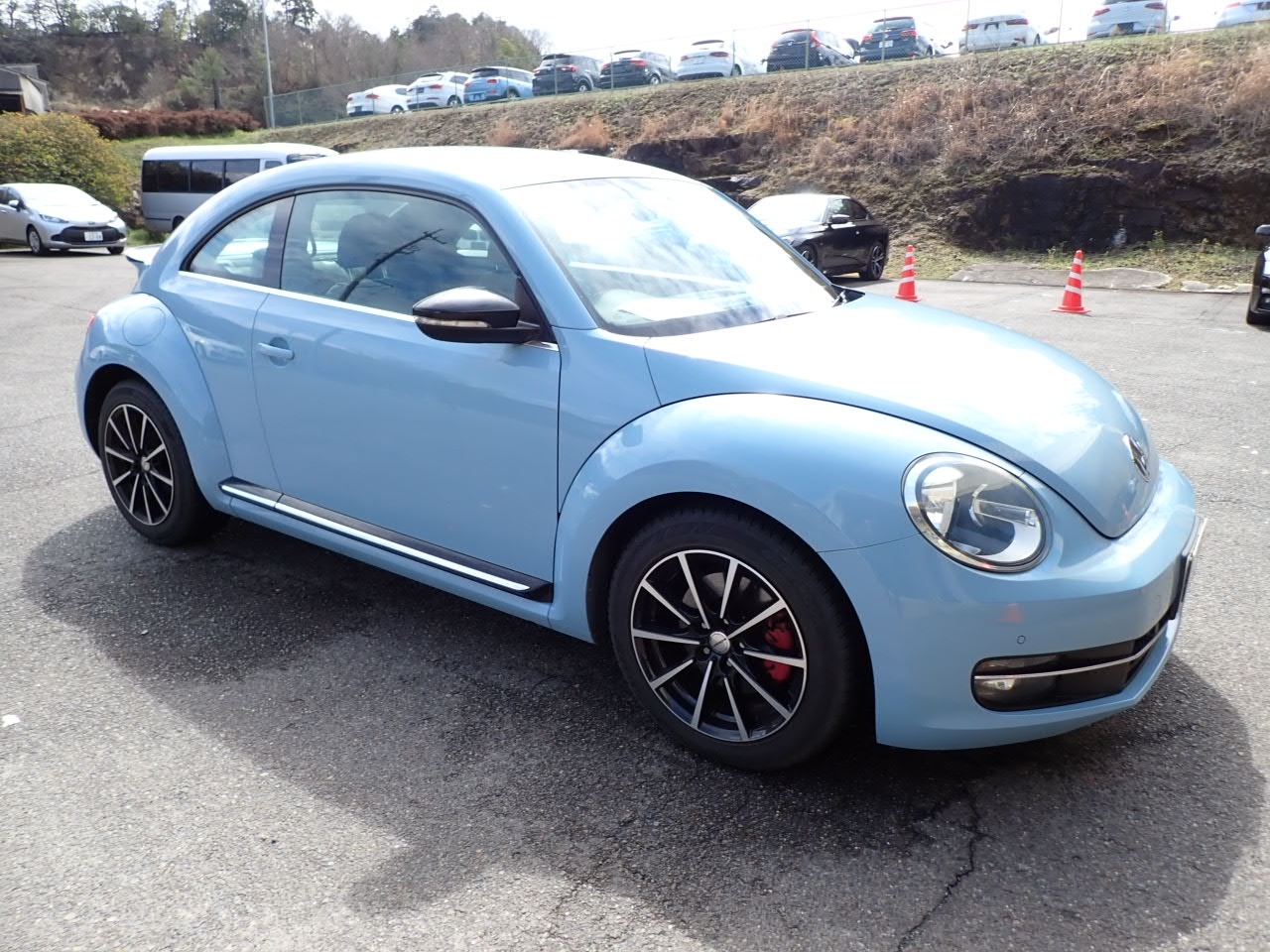 VOLKSWAGEN BEETLE