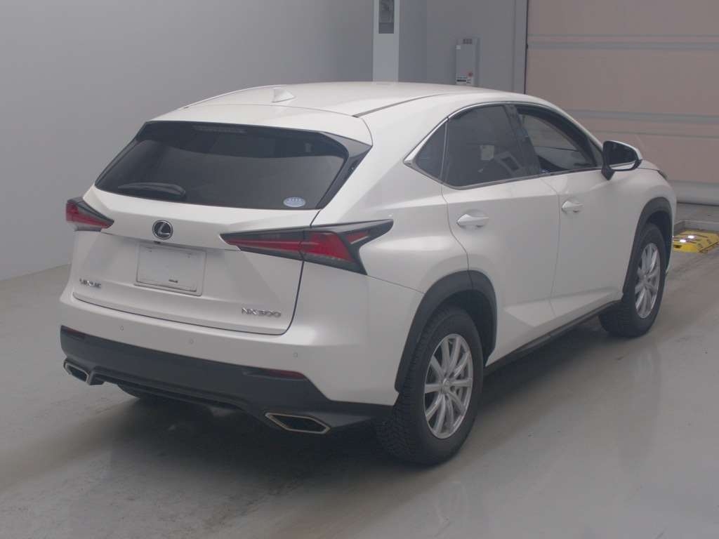 LEXUS NX300