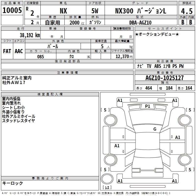 LEXUS NX300