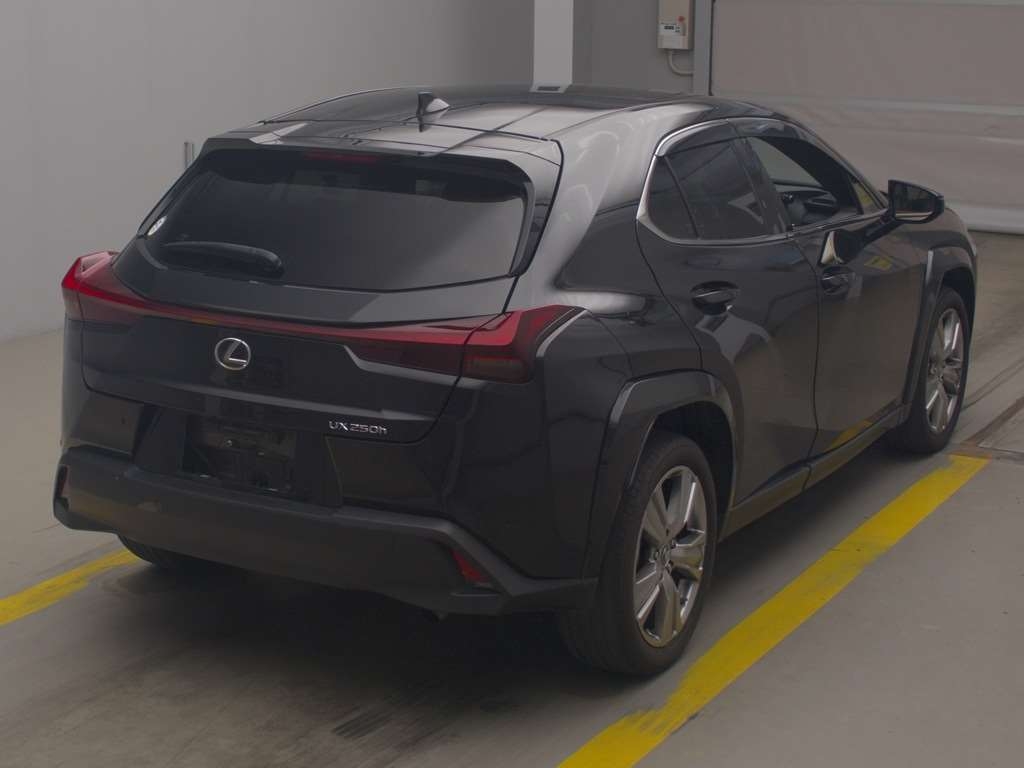 LEXUS UX250H