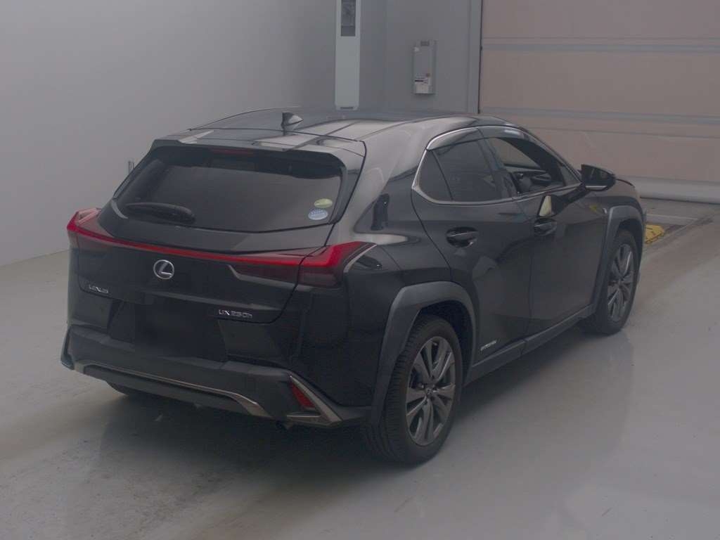 LEXUS UX250H