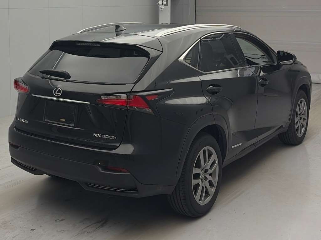 LEXUS NX300H