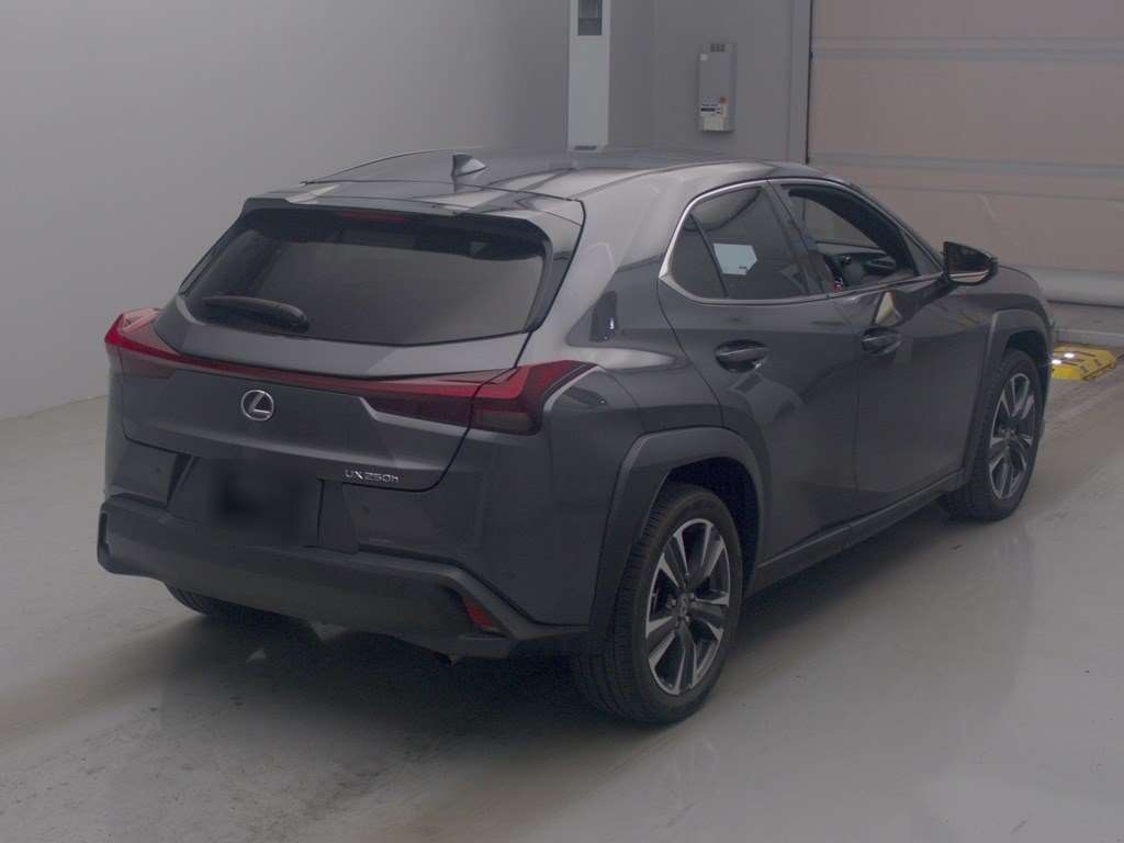 LEXUS UX250H