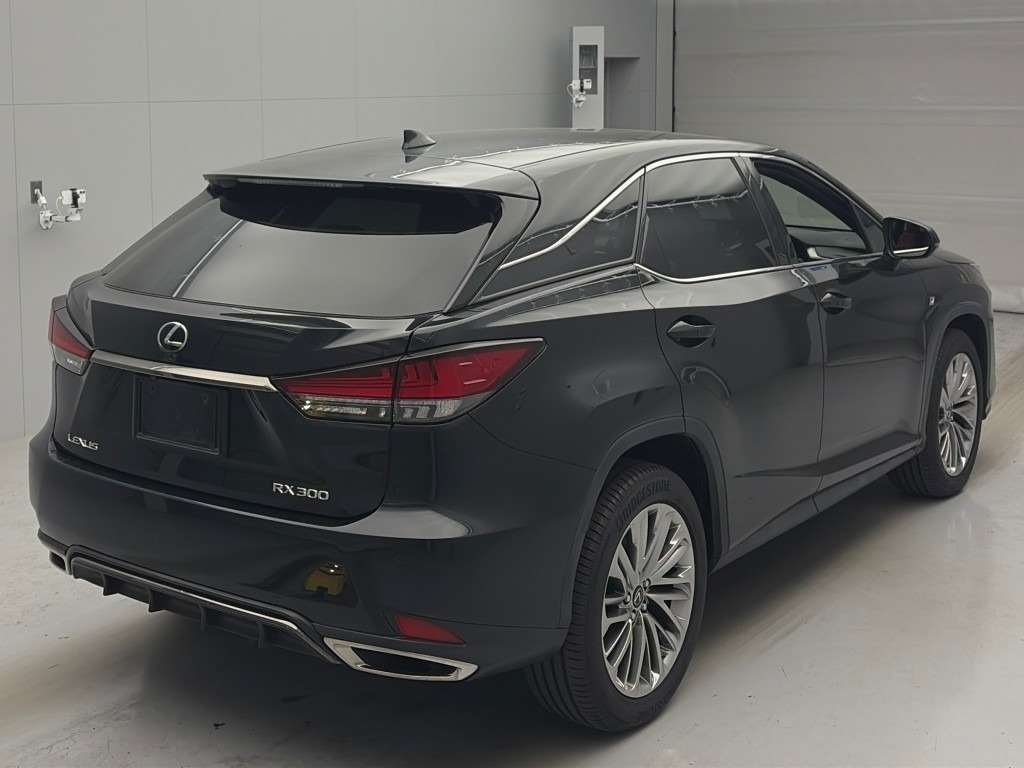 LEXUS RX300