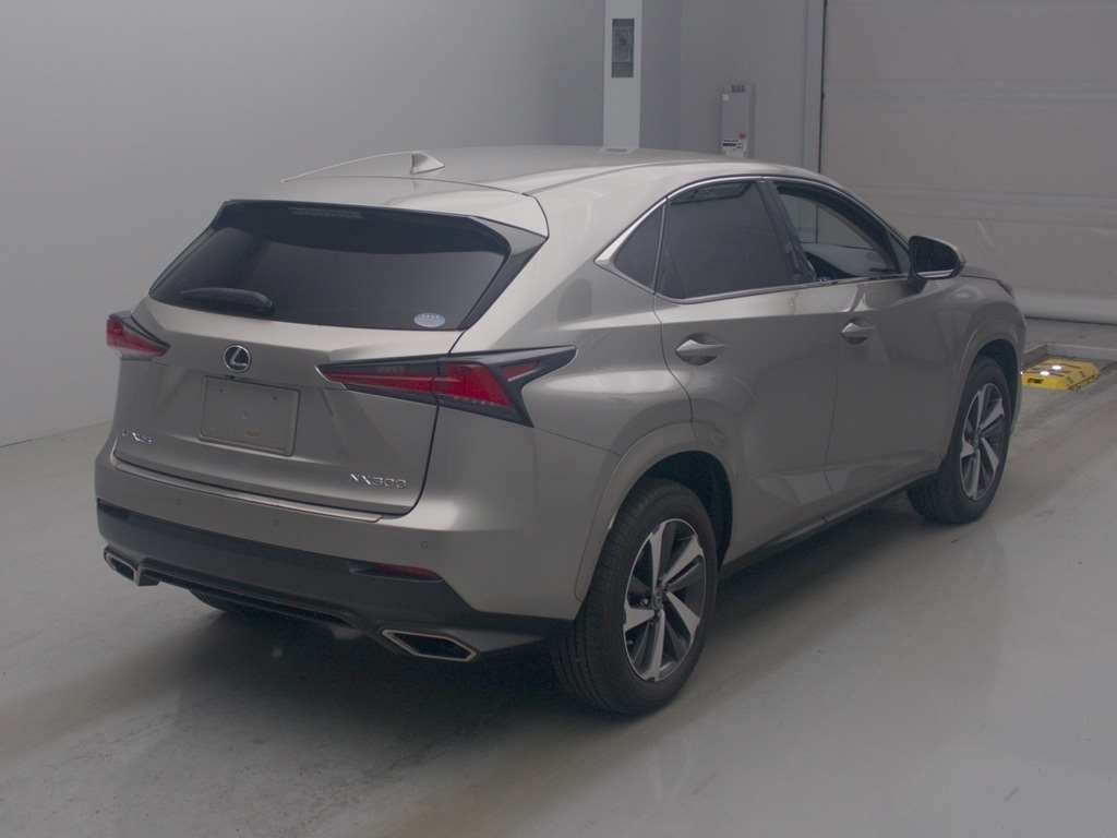 LEXUS NX300