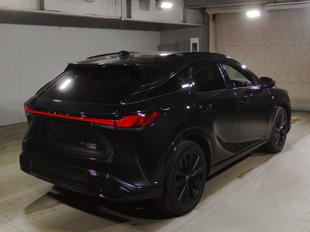 LEXUS RX500H