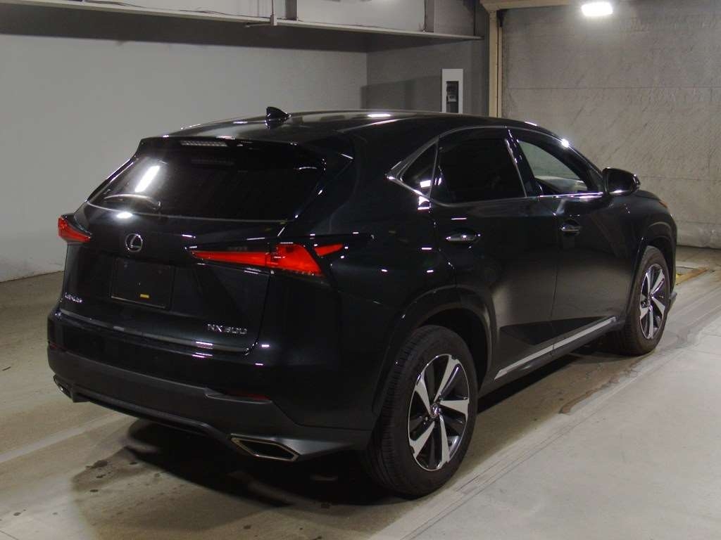 LEXUS NX300