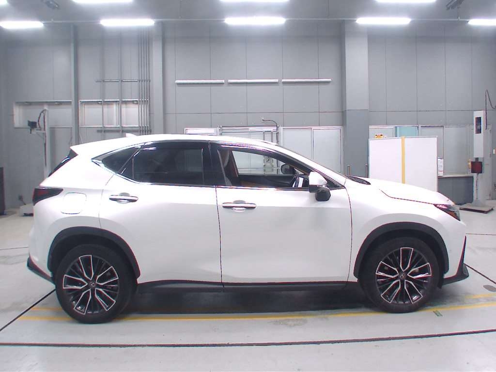 LEXUS NX450H+