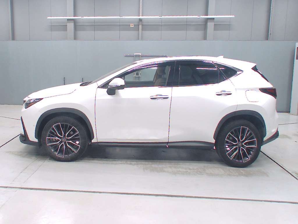 LEXUS NX450H+